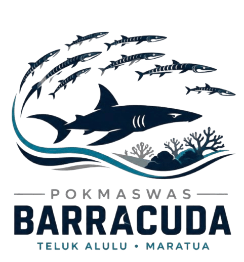 Pokmaswas Barracuda Teluk Alulu